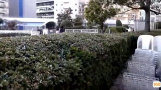 天地姻缘七仙女 电视剧蕾丝眼罩少妇细致口活有后续
